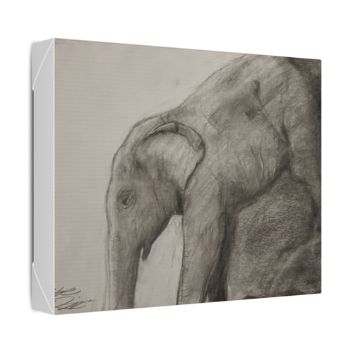 Elephant Sketch Canvas Print — Monochrome Charcoal Wall Art